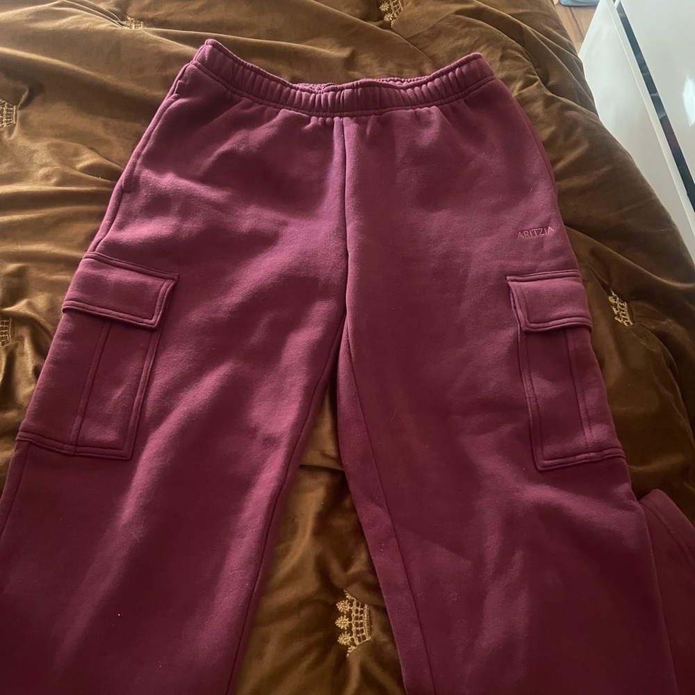 aritiza cargo pants
